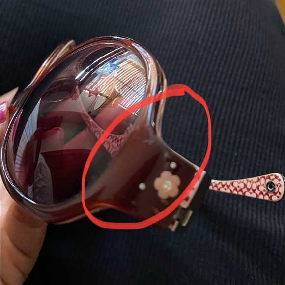 Coach poppy Sunglasses